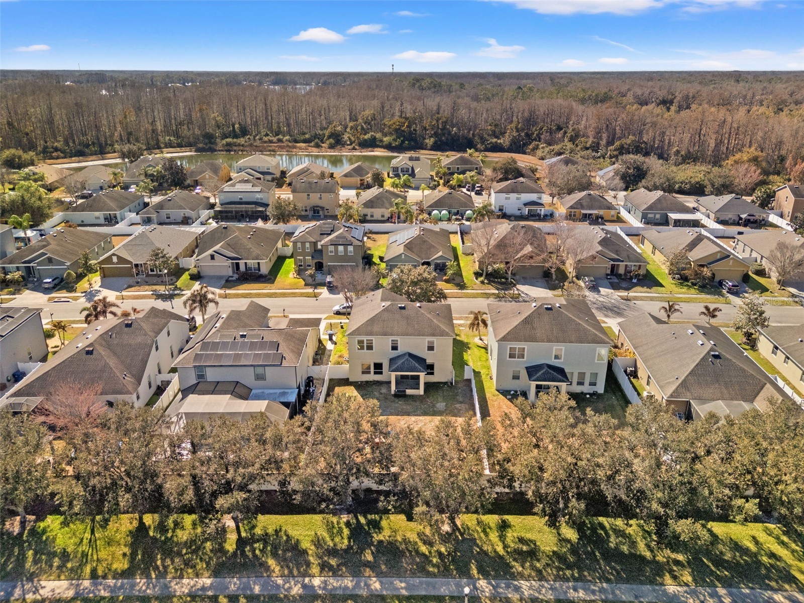 5586 Angelonia Terrace Land O Lakes FL 34639 W7882742 image6