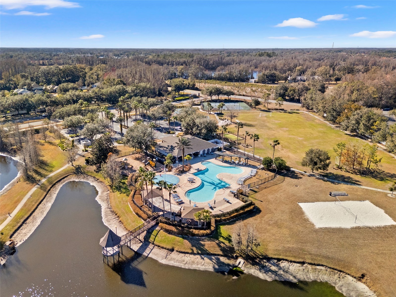 5586 Angelonia Terrace Land O Lakes FL 34639 W7882742 image61