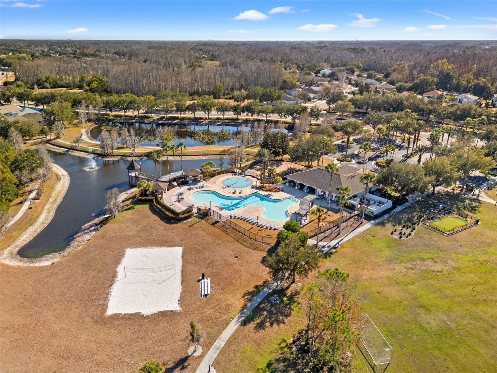 5586 Angelonia Terrace Land O Lakes FL 34639 W7882742 image62