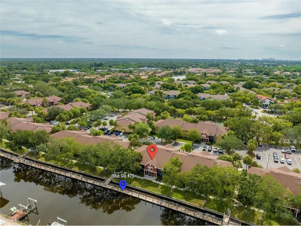 5586 Baywater Drive #5586 Tampa FL 33615 T3469546 image1