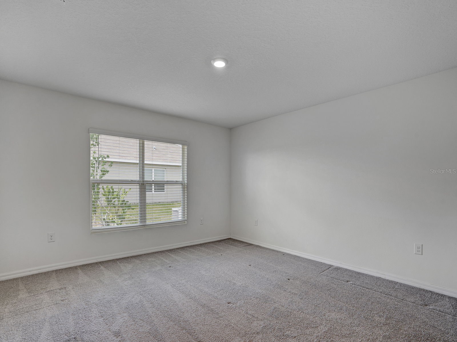 5586 Logan Cave Avenue Wimauma FL 33598 TB8520140 image18