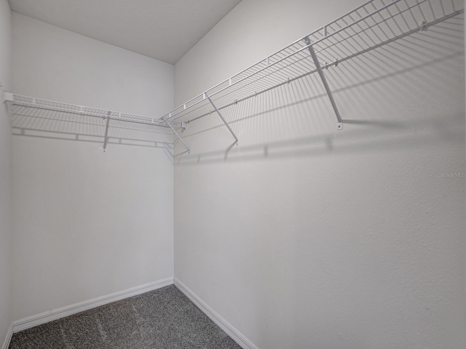 5586 Logan Cave Avenue Wimauma FL 33598 TB8520140 image22