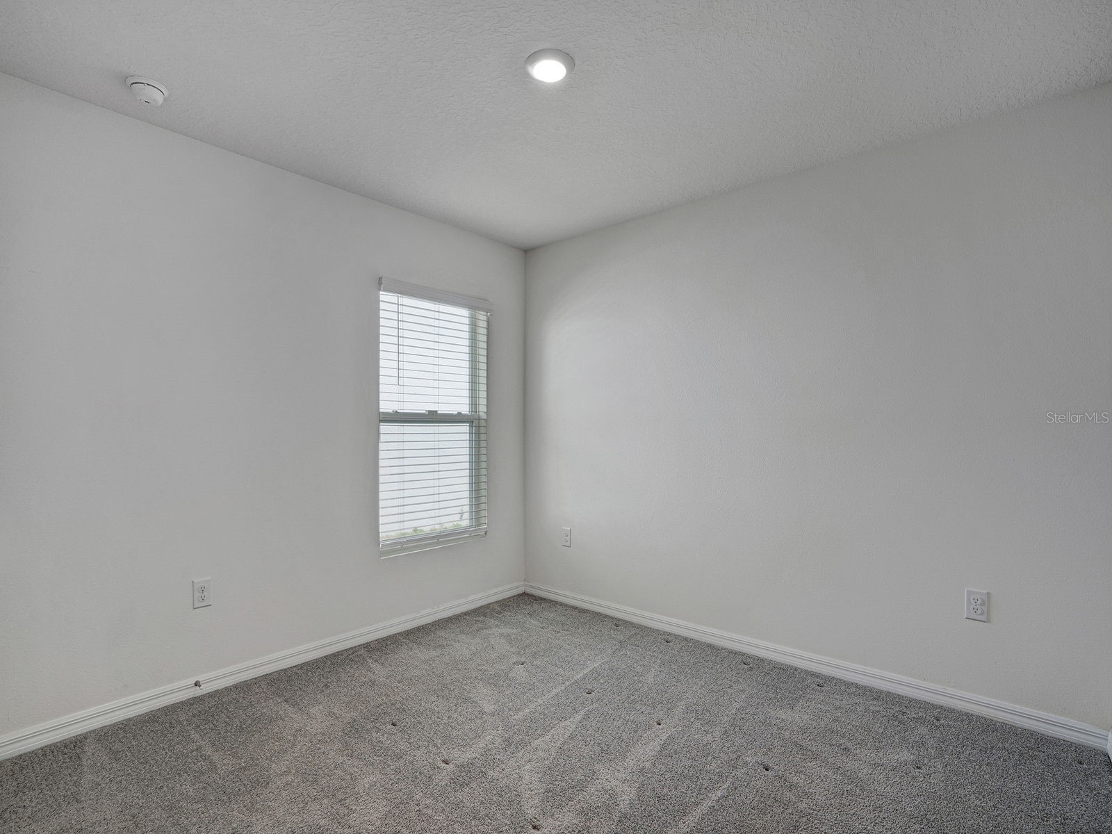 5586 Logan Cave Avenue Wimauma FL 33598 TB8520140 image27