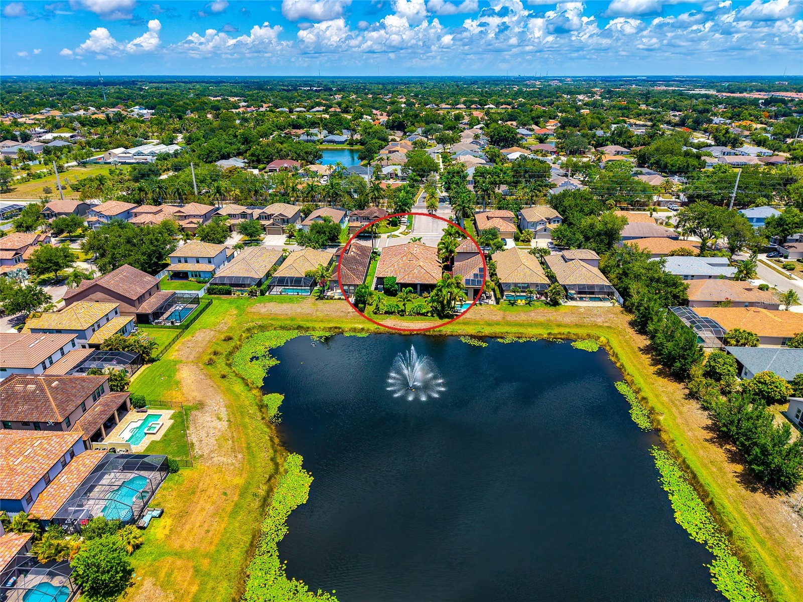 5587 Foxtail Palm Lane Sarasota FL 34233 A4693177 image40