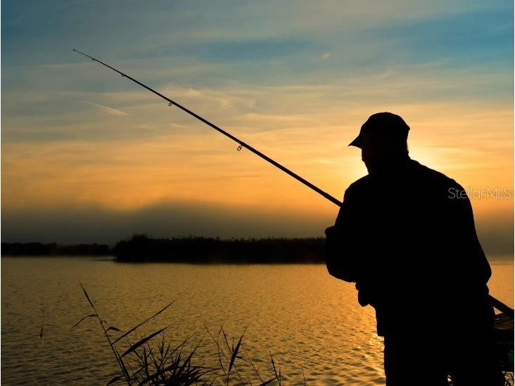 5587 Maddie Drive Haines City FL 33844 O6355821 image33