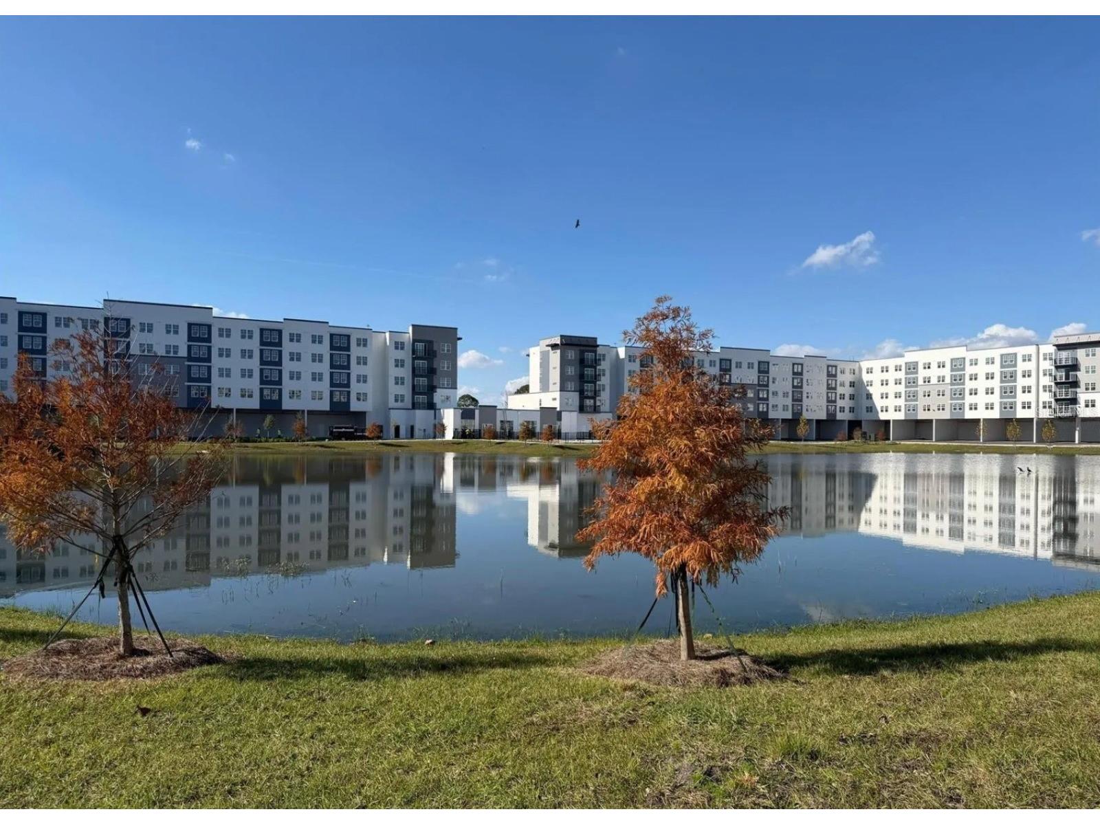 5587 Millenia Boulevard #213 Orlando FL 32839 O6384491 image37
