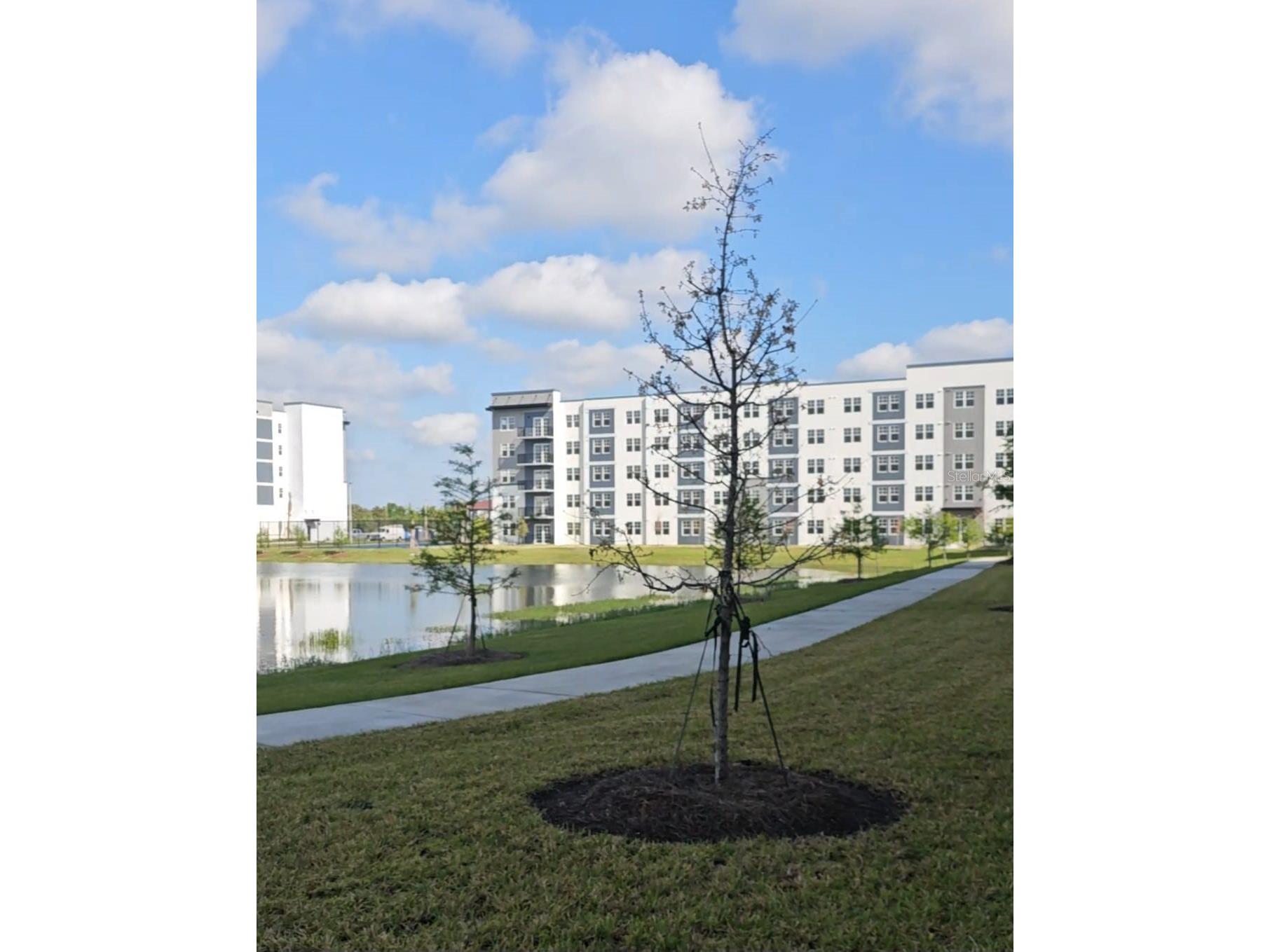 5587 Millenia Park Blvd #315 Orlando FL 32839 O6395364 image19