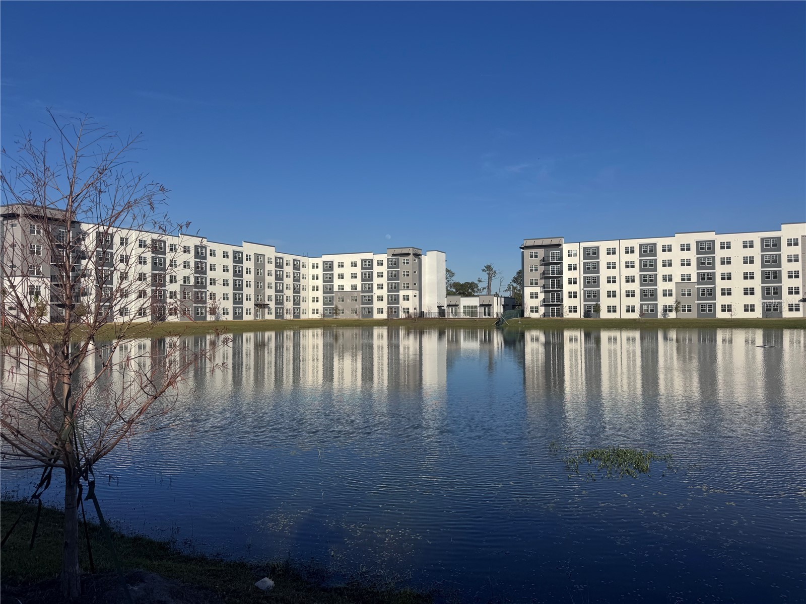 5587 Millenia Park Boulevard #120 Orlando FL 32839 O6378097 image1
