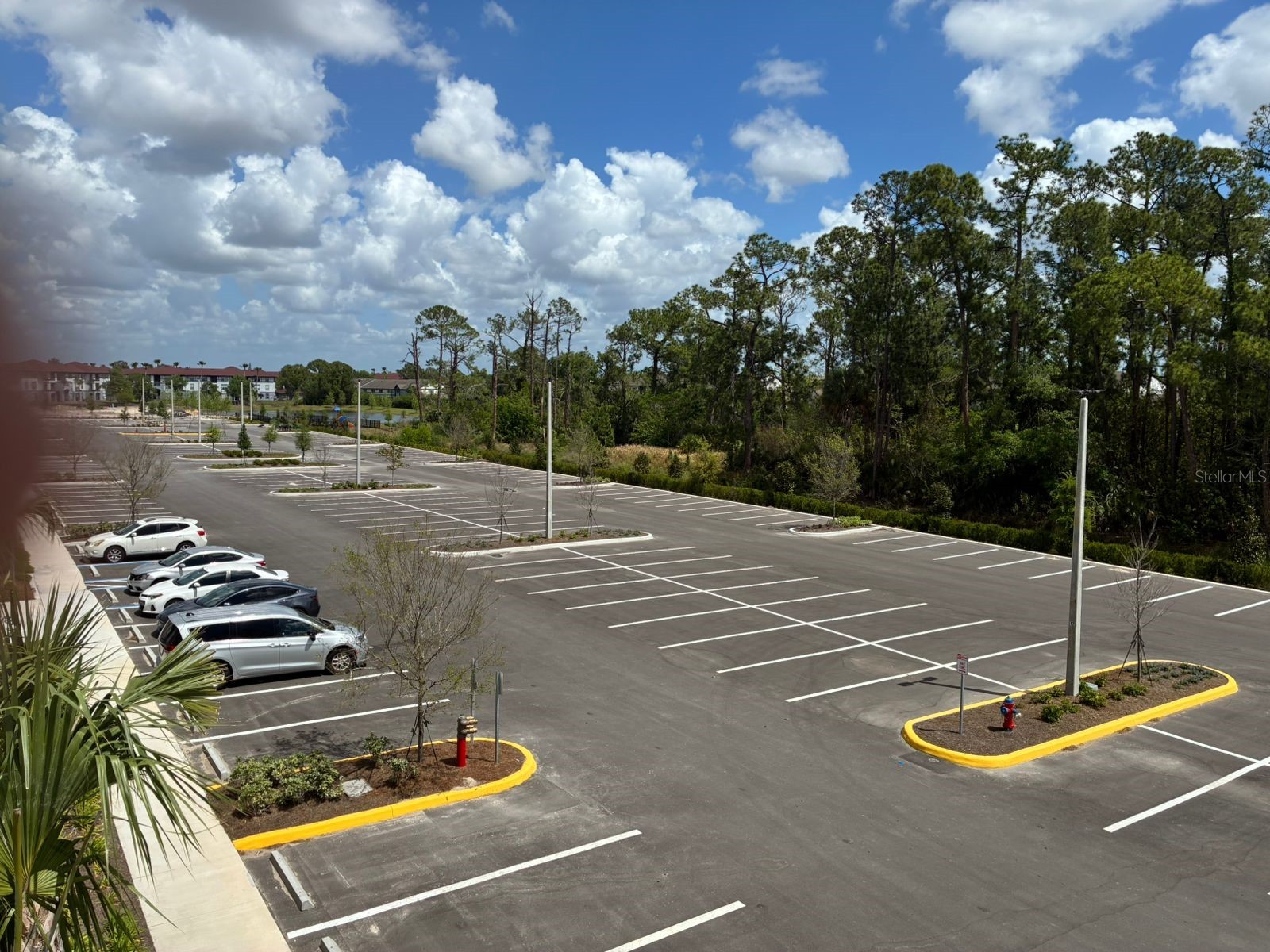 5587 Millenia Park Boulevard #318 Orlando FL 32839 TB8493911 image48