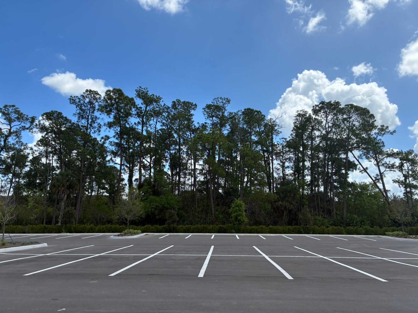 5587 Millenia Park Boulevard #318 Orlando FL 32839 TB8493911 image6