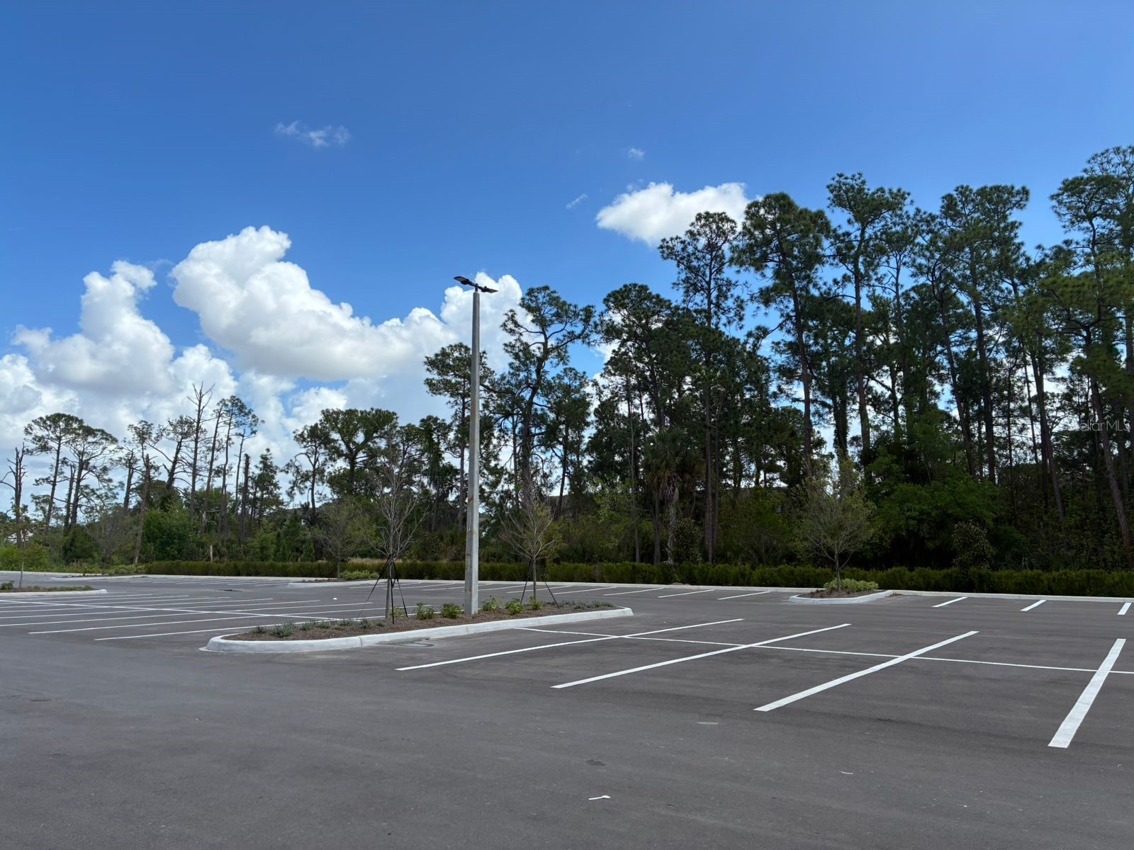 5587 Millenia Park Boulevard #318 Orlando FL 32839 TB8493911 image7