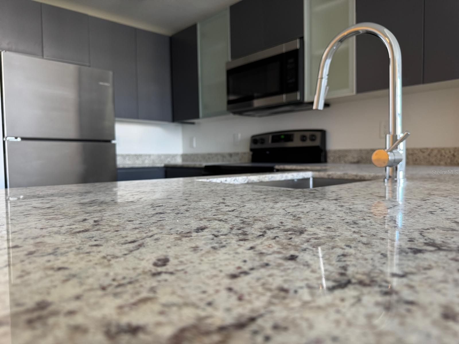 5587 Millenia Park Boulevard #319 Orlando FL 32839 S5143427 image14