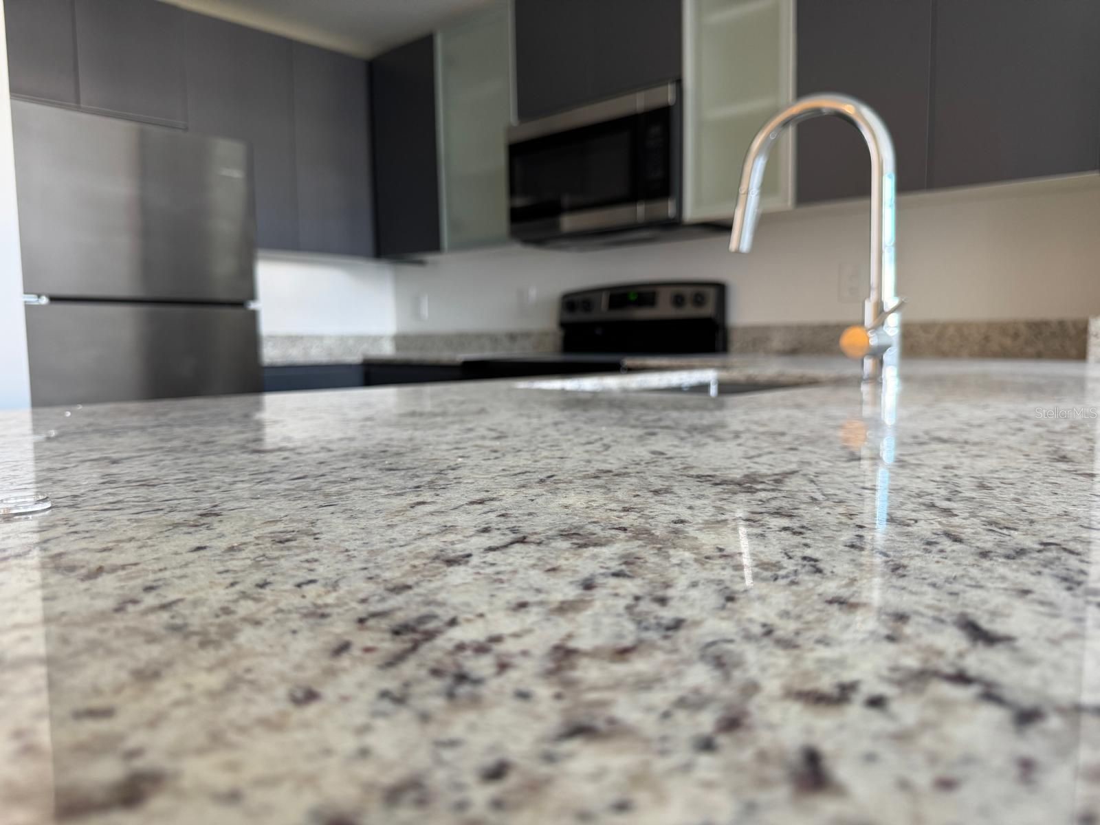 5587 Millenia Park Boulevard #319 Orlando FL 32839 S5143427 image5