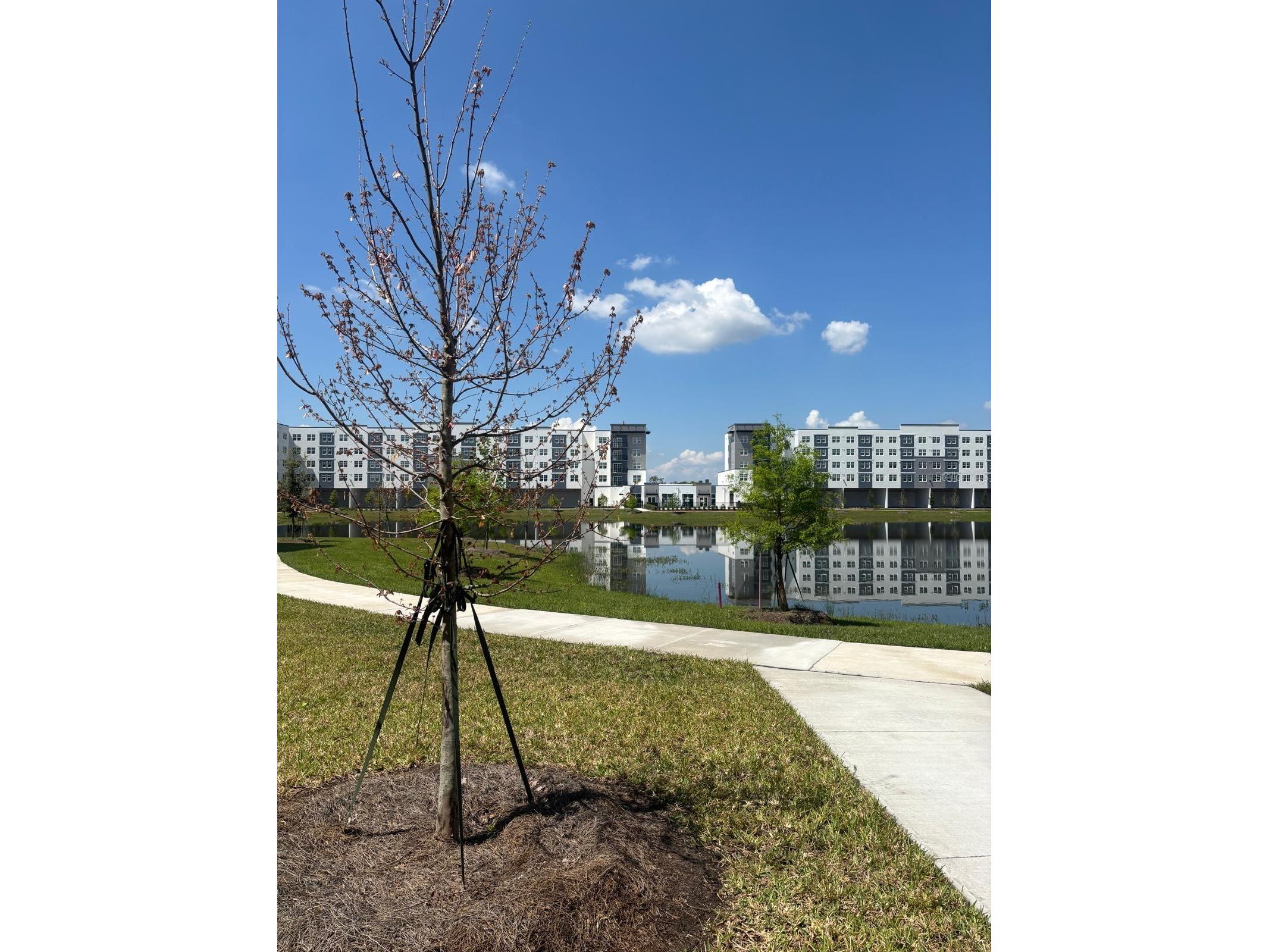 5587 Millenia Park Bulevard #508 Orlando FL 32839 S5146789 image17