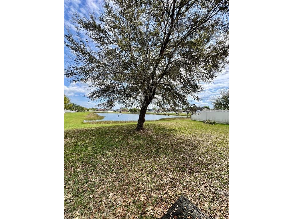 5588 Sycamore Canyon Drive Kissimmee FL 34758 S5139538 image17