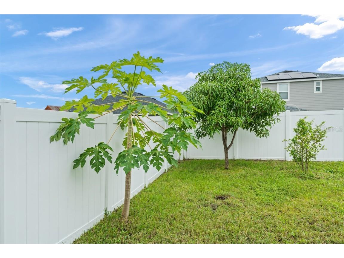 5588 Vigo Loop Saint Cloud FL 34771 O6352956 image32