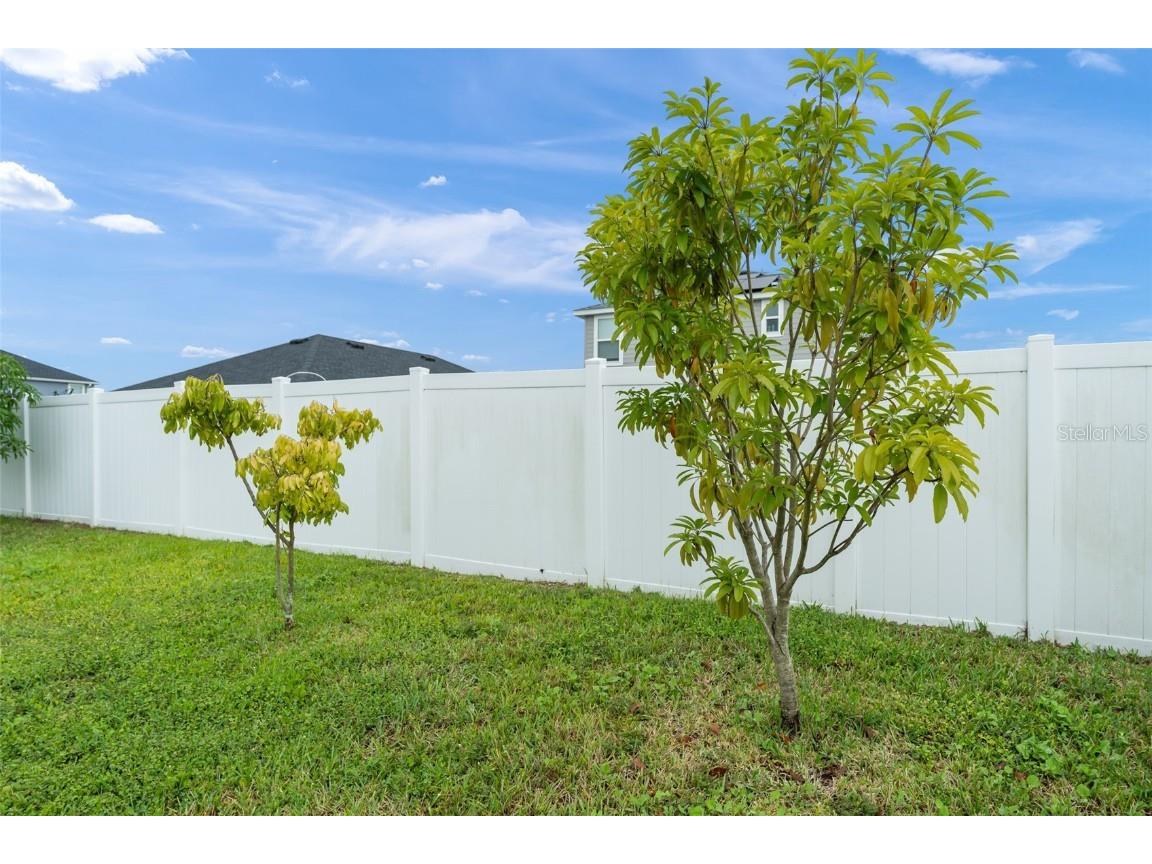 5588 Vigo Loop Saint Cloud FL 34771 O6352956 image35