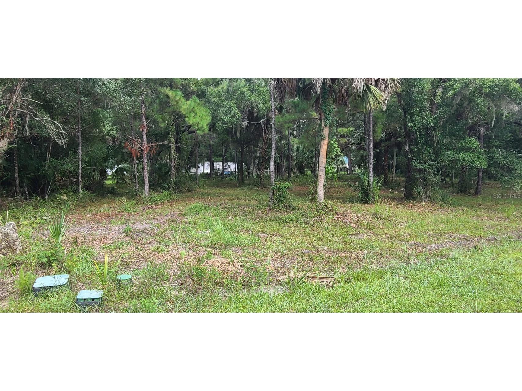 5589 N Brookgreen Drive Crystal River FL 34428 OM675590 image1