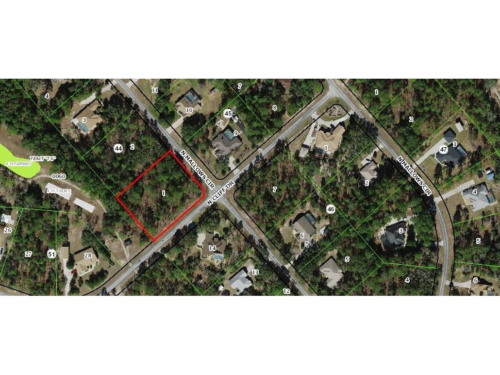 5589 N Mallows Circle Beverly Hills FL 34465 OM691903 image1