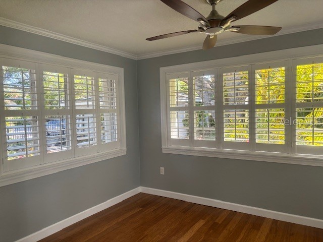 559 Chicago Avenue Dunedin FL 34698 TB8502580 image8