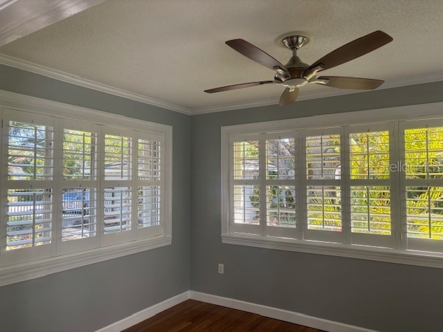 559 Chicago Avenue Dunedin FL 34698 TB8502580 image9