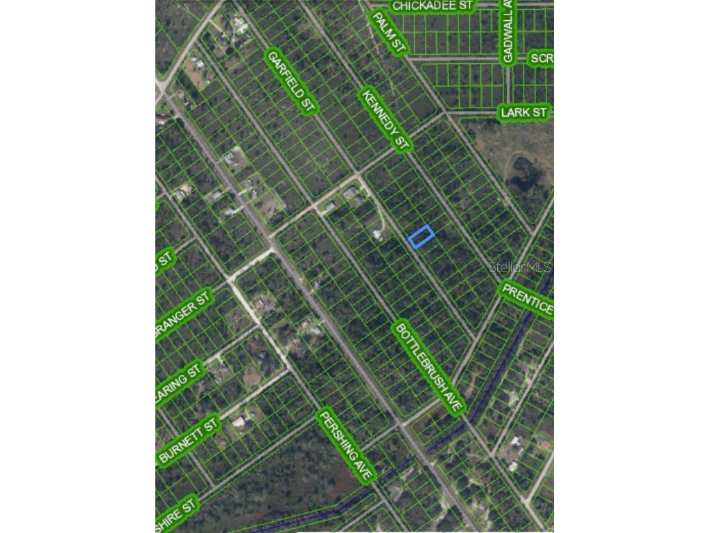 559 Garfield Street Lake Placid FL 33852 O6191784 image1