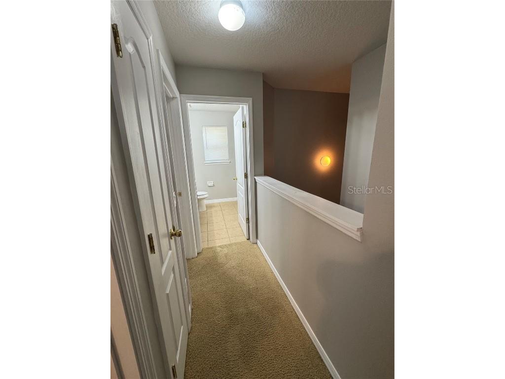 559 Hiawatha Palm Place Apopka FL 32712 O6362500 image54