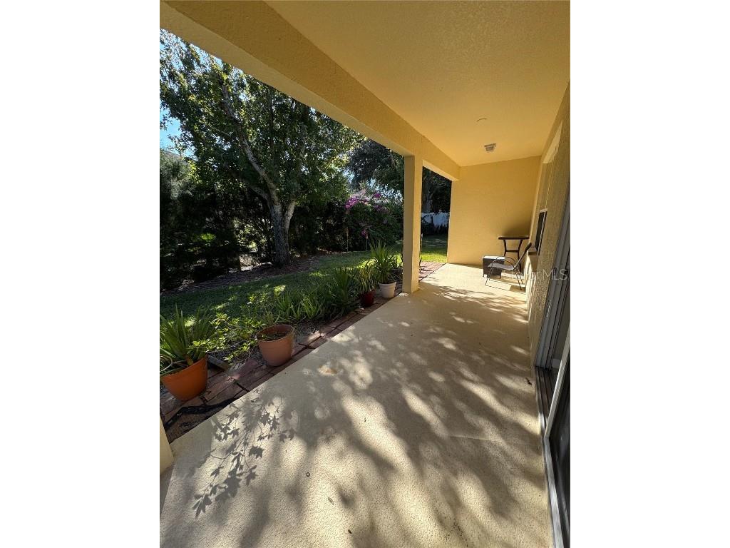 559 Hiawatha Palm Place Apopka FL 32712 O6362500 image68