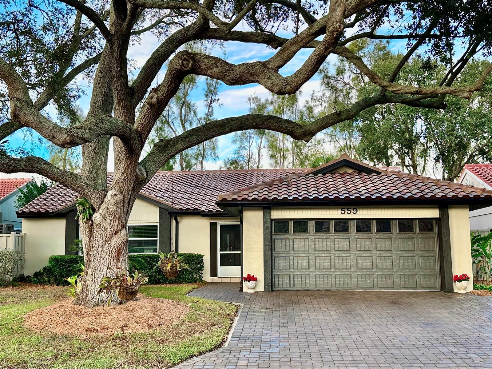 559 Quintana Place NE Saint Petersburg FL 33703 TB8454730 image1