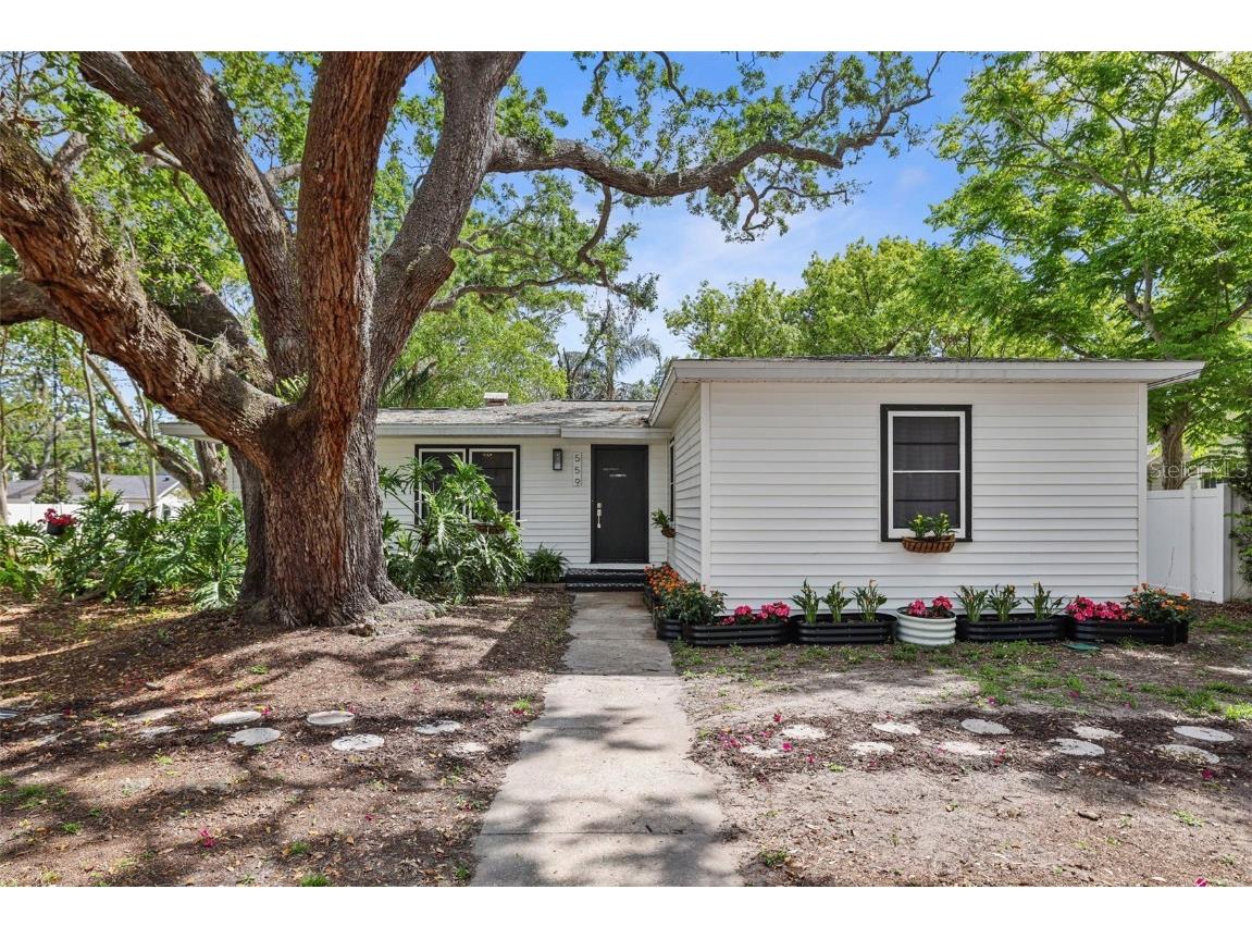 559 Scotland Street Dunedin FL 34698 TB8370789 image1