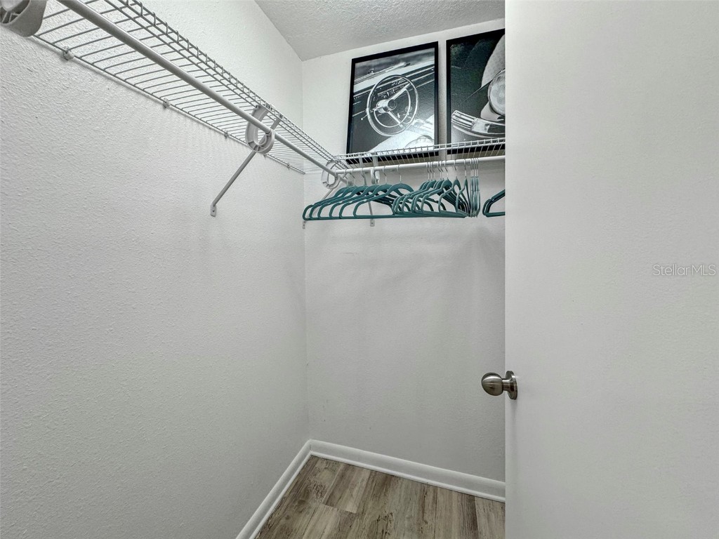 559 Scotland Street Dunedin FL 34698 TB8370789 image39