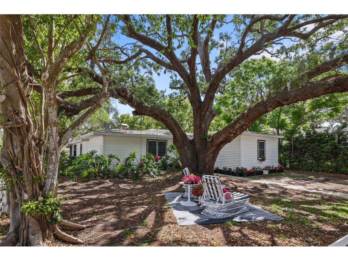 559 Scotland Street Dunedin FL 34698 TB8370789 image57