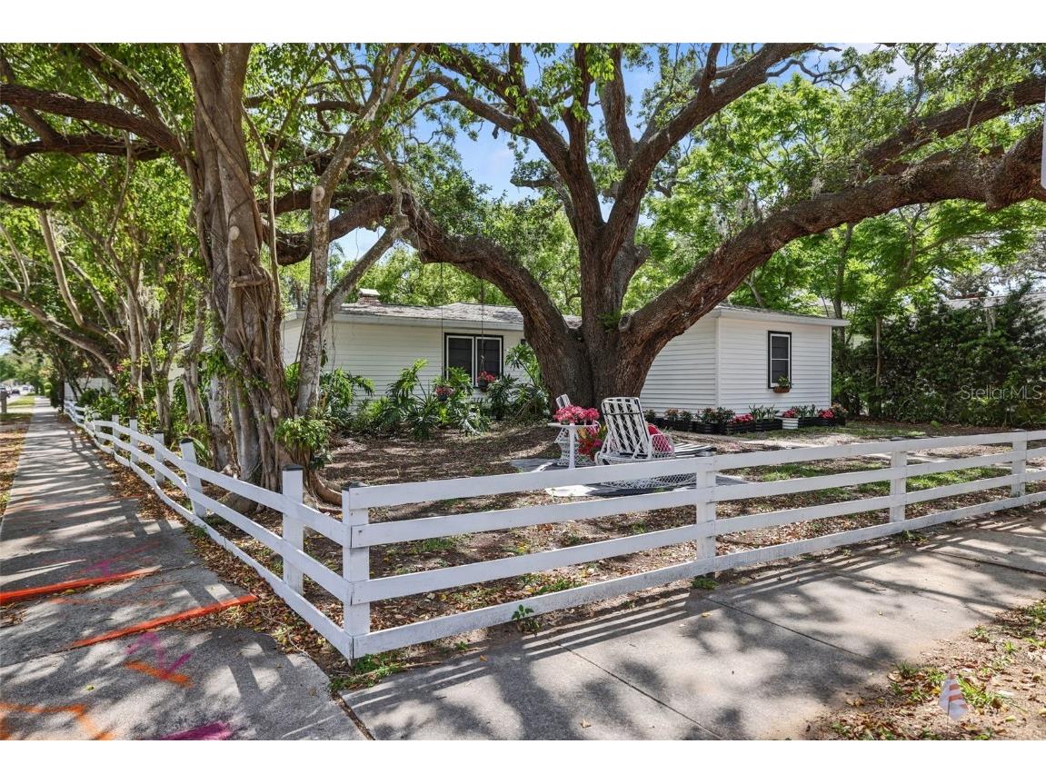 559 Scotland Street Dunedin FL 34698 TB8370789 image59