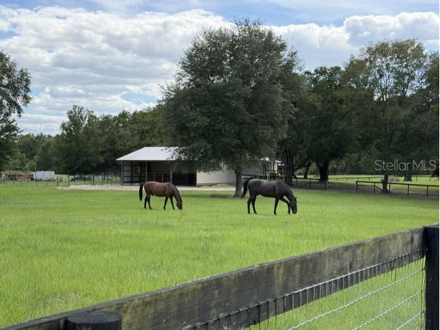 559 SW 15th Court Bell FL 32619 GC541078 image39