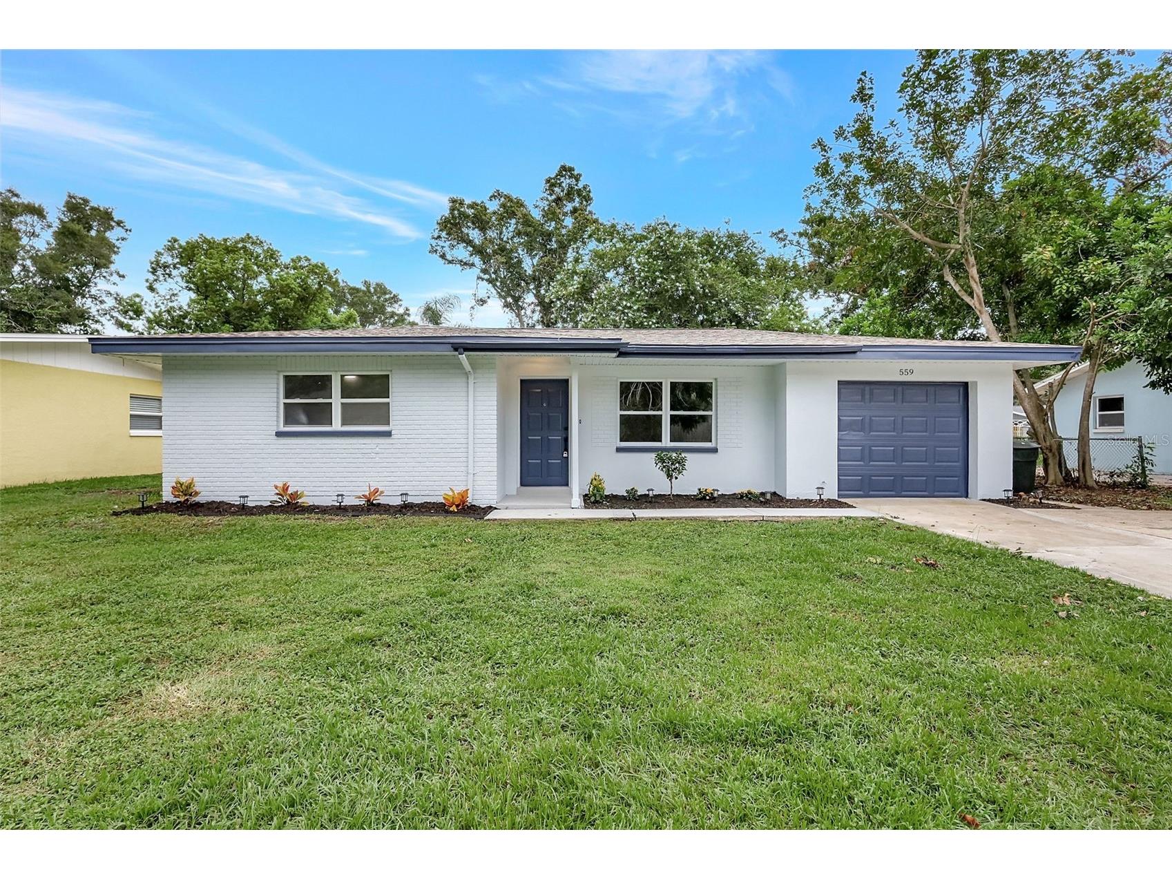 559 Vine Avenue Dunedin FL 34698 O6374417 image1