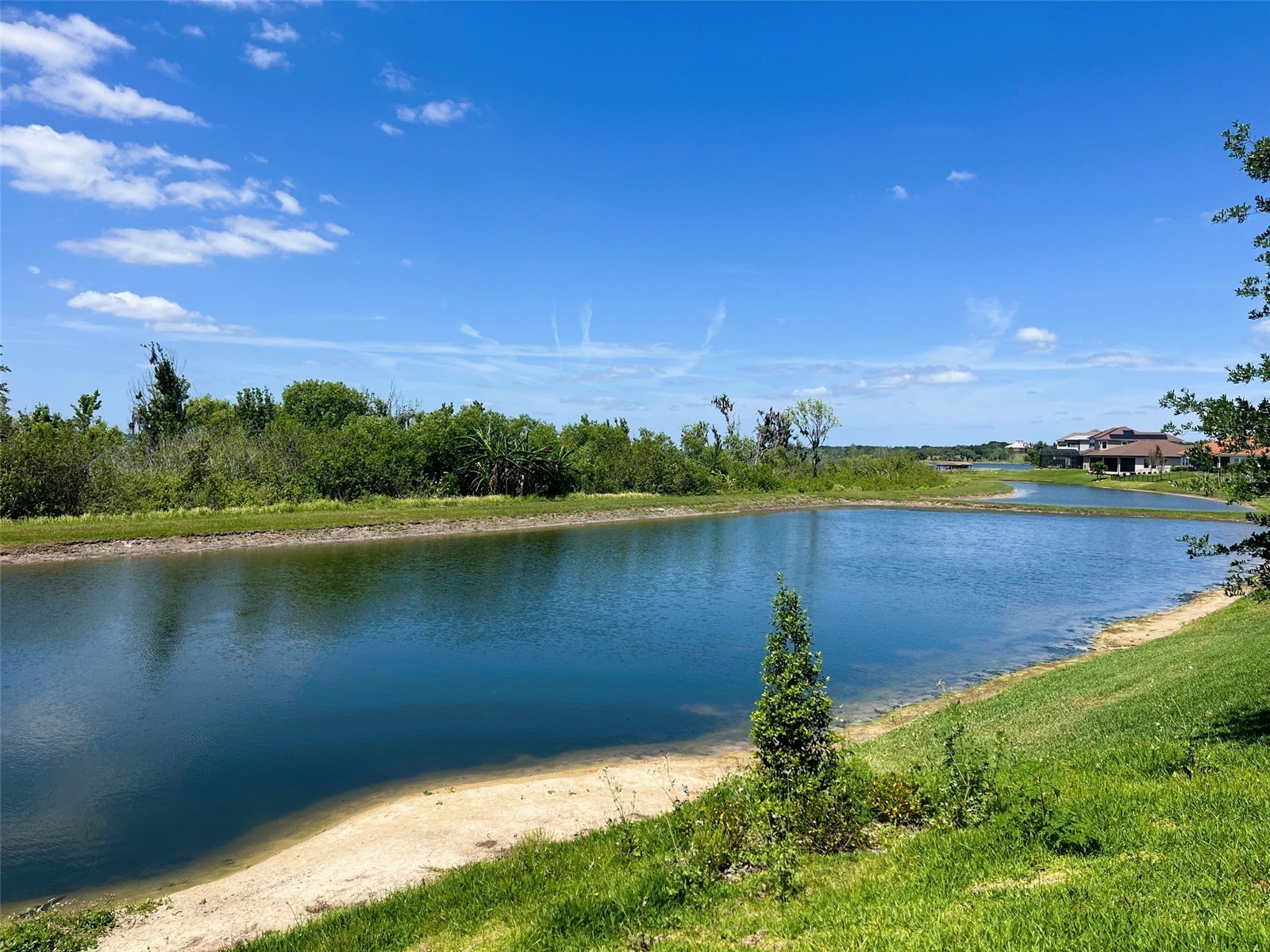 559 Waterfern Trail Drive Auburndale FL 33823 - 3 LAKES: ALFRED VAN MEDORA P4935576 image20