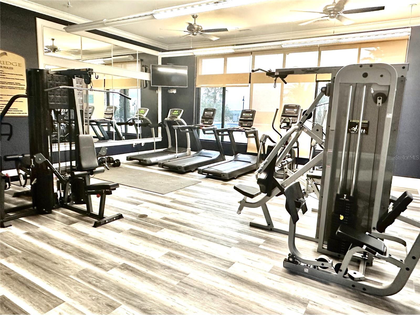 559 Waterfern Trail Drive Auburndale FL 33823 - 3 LAKES: ALFRED VAN MEDORA P4935576 image66