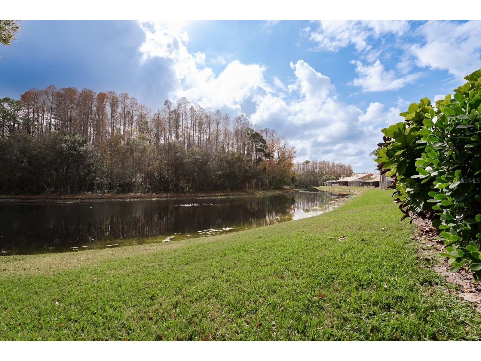 5590 Greyston Street Palm Harbor FL 34685 TB8460485 image2