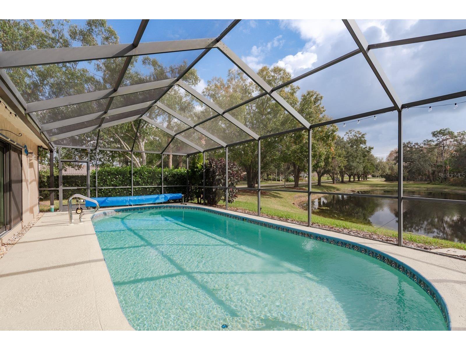 5590 Greyston Street Palm Harbor FL 34685 TB8460485 image32