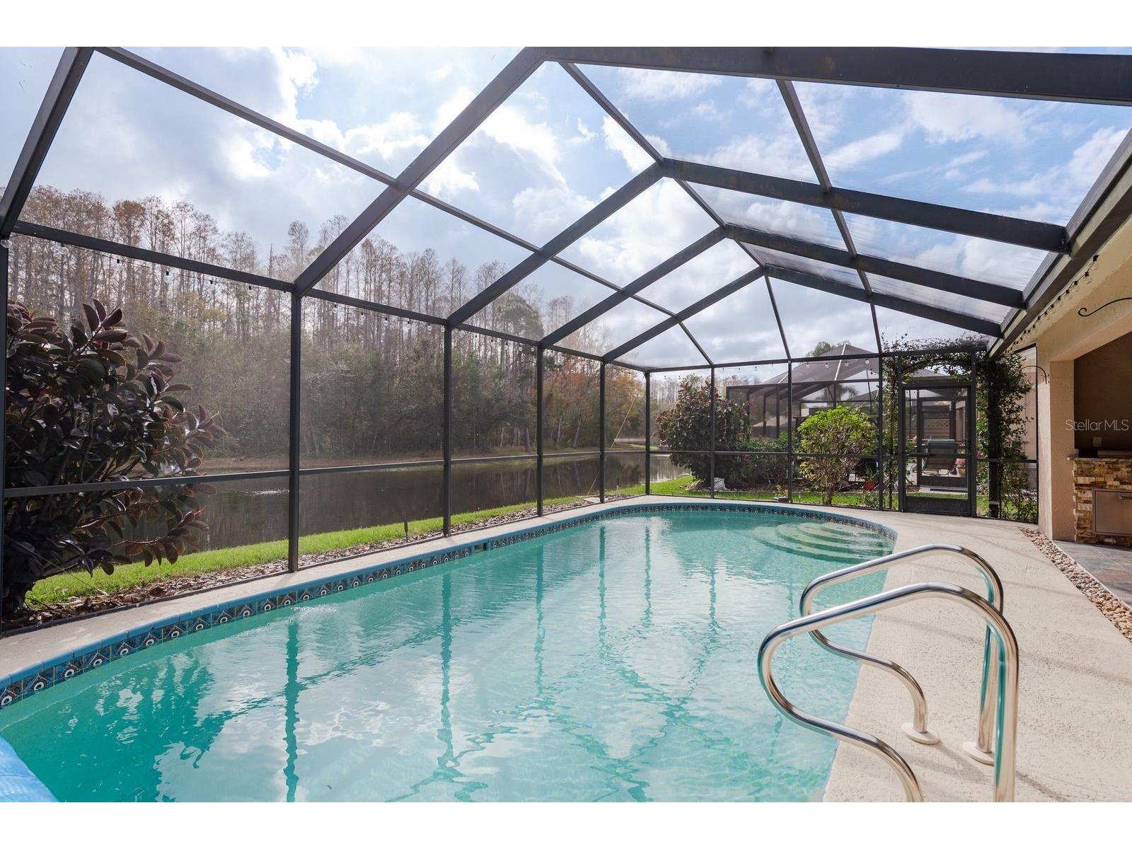 5590 Greyston Street Palm Harbor FL 34685 TB8460485 image34