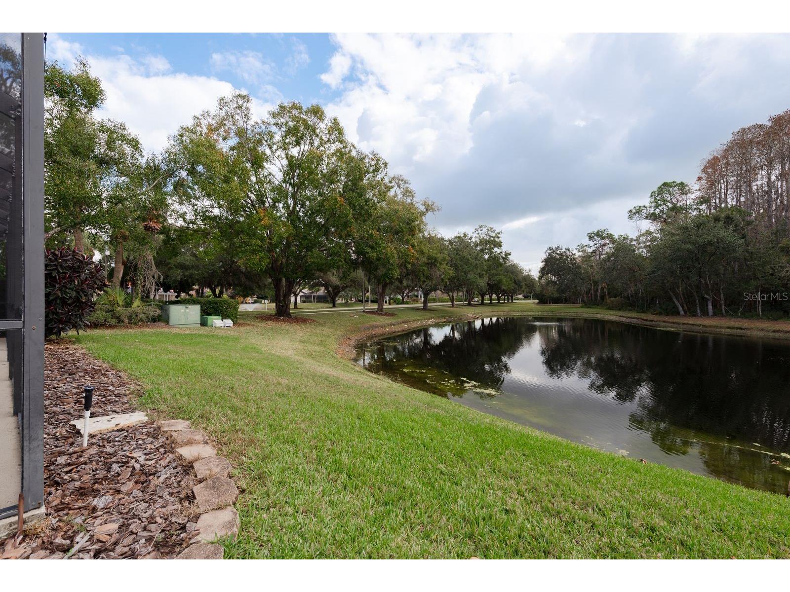 5590 Greyston Street Palm Harbor FL 34685 TB8460485 image35