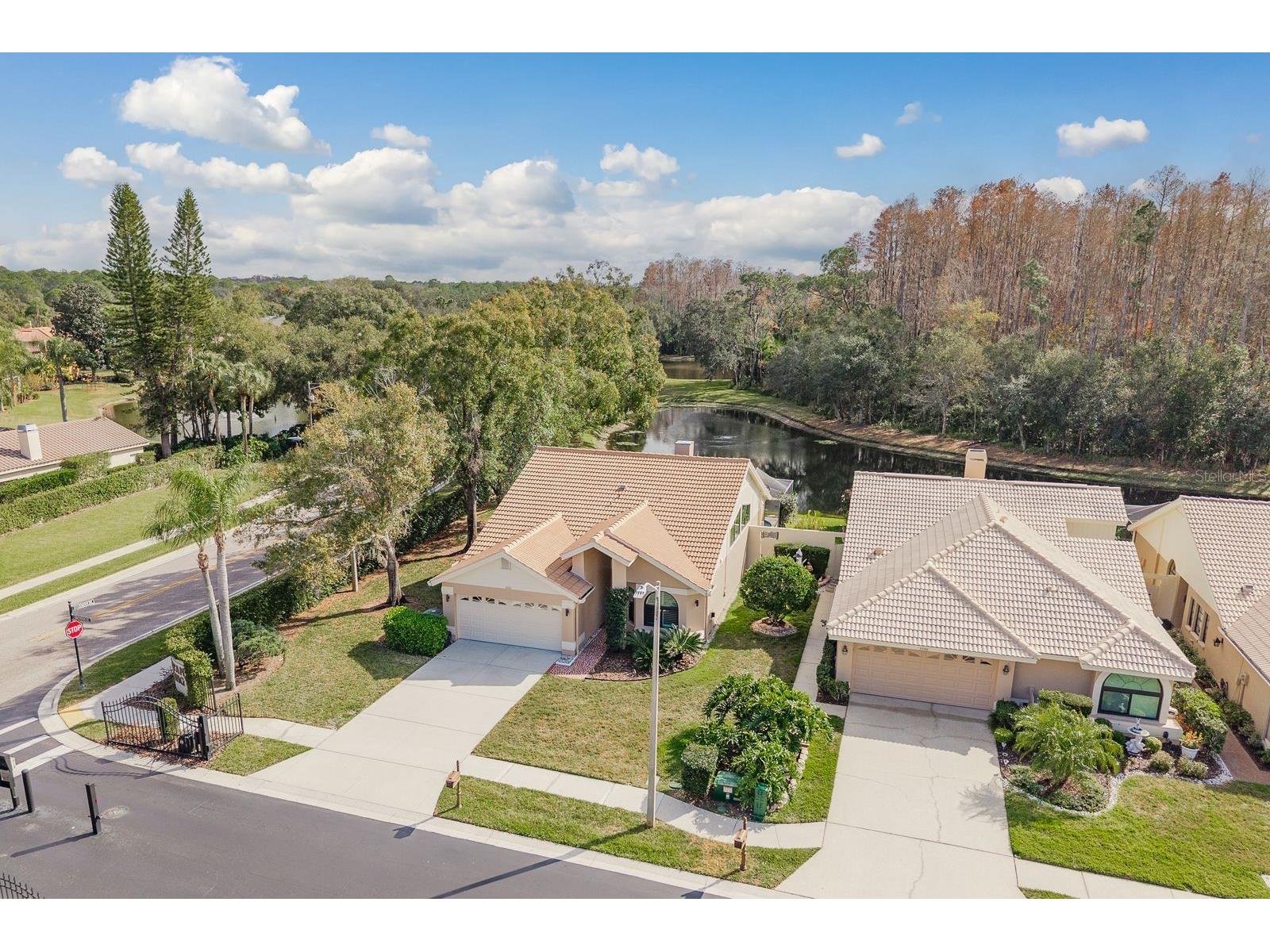 5590 Greyston Street Palm Harbor FL 34685 TB8460485 image39