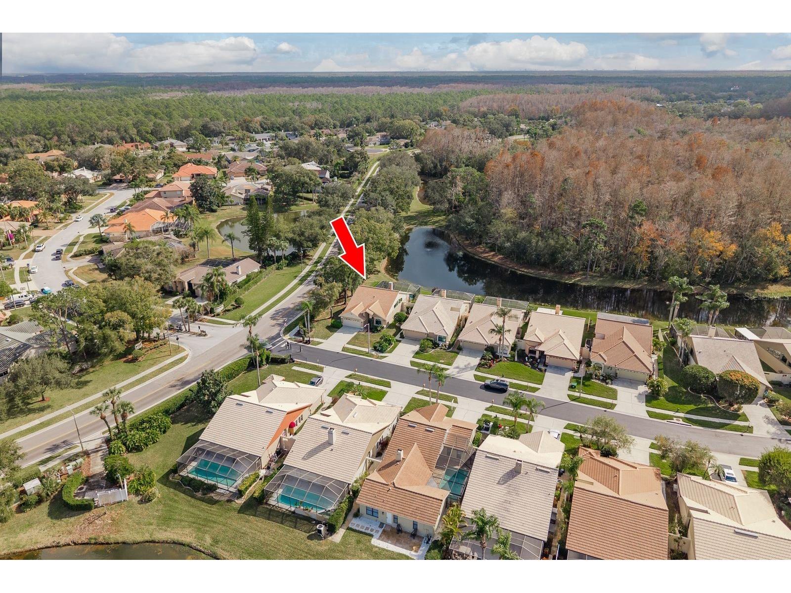 5590 Greyston Street Palm Harbor FL 34685 TB8460485 image40