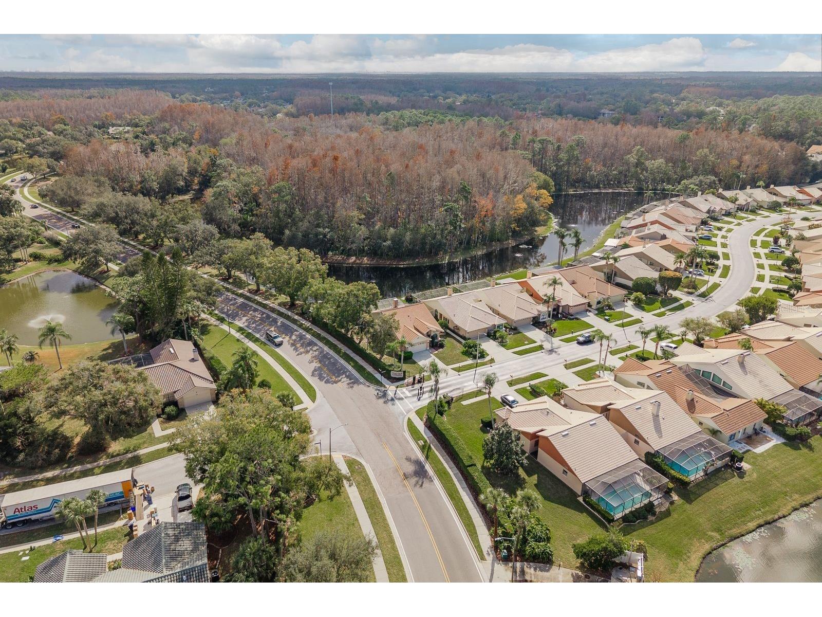 5590 Greyston Street Palm Harbor FL 34685 TB8460485 image41