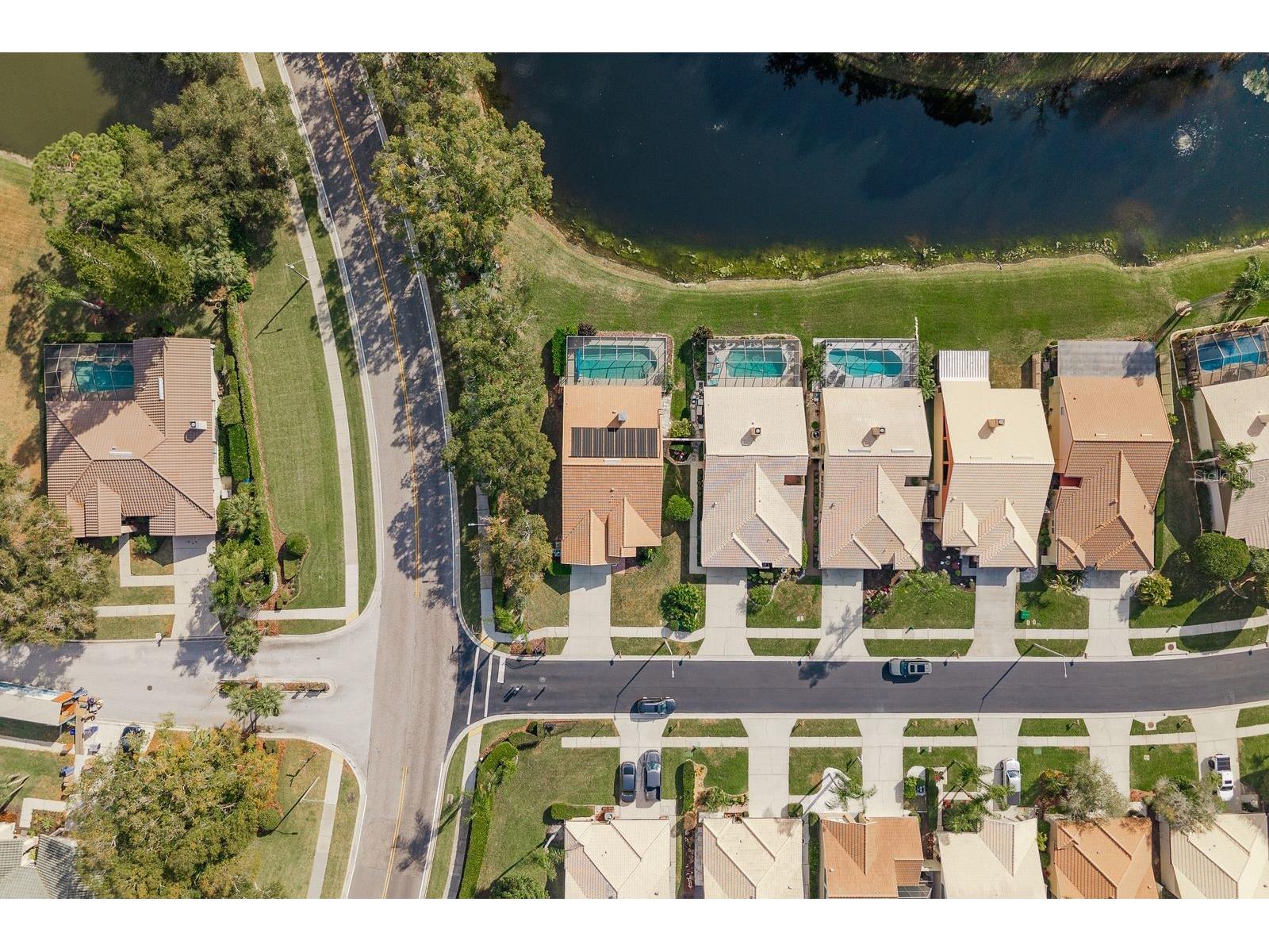 5590 Greyston Street Palm Harbor FL 34685 TB8460485 image42