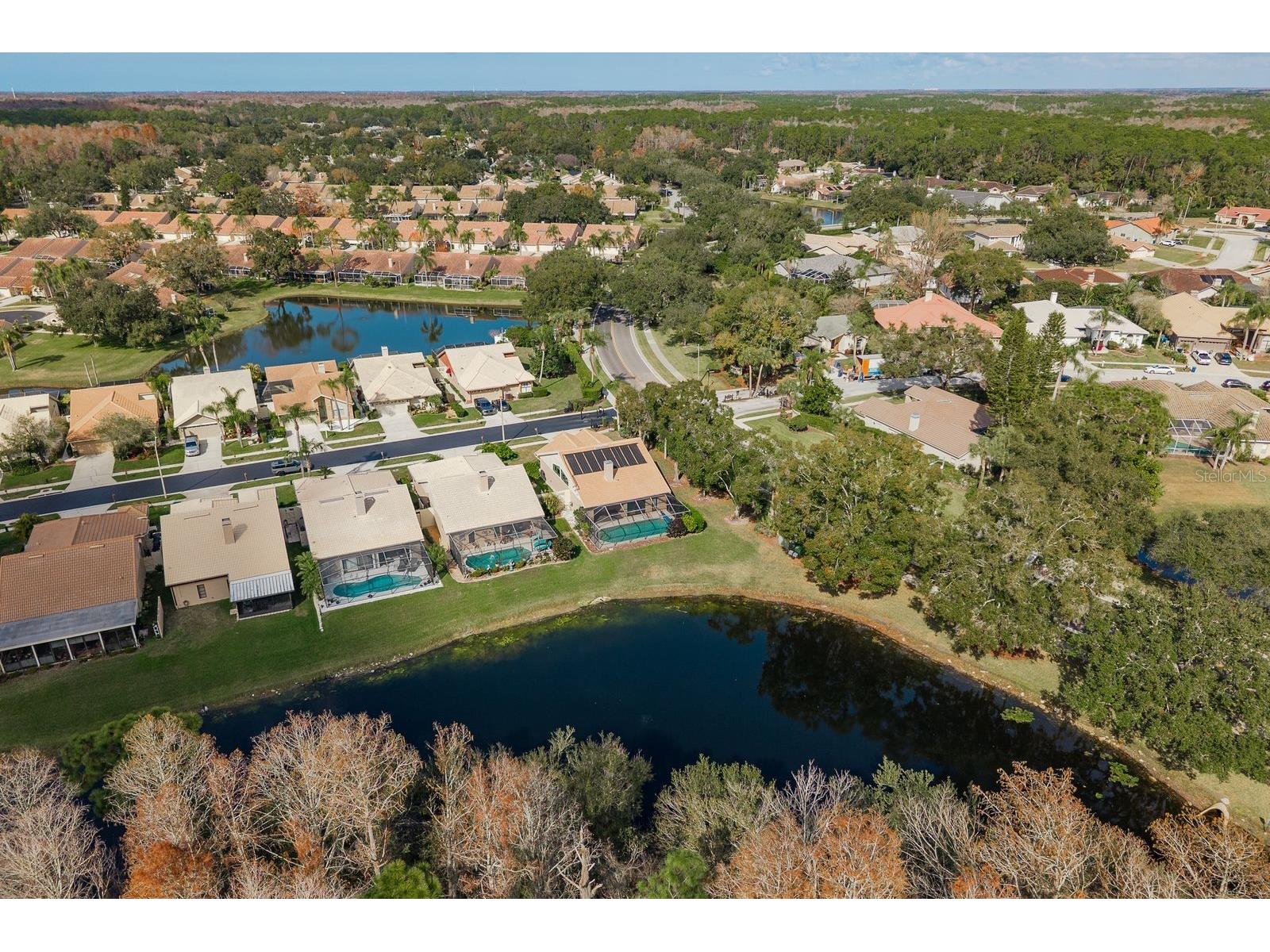5590 Greyston Street Palm Harbor FL 34685 TB8460485 image43