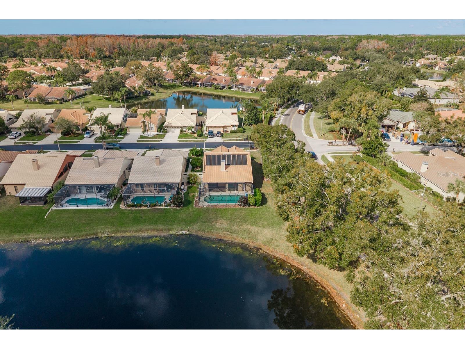 5590 Greyston Street Palm Harbor FL 34685 TB8460485 image44