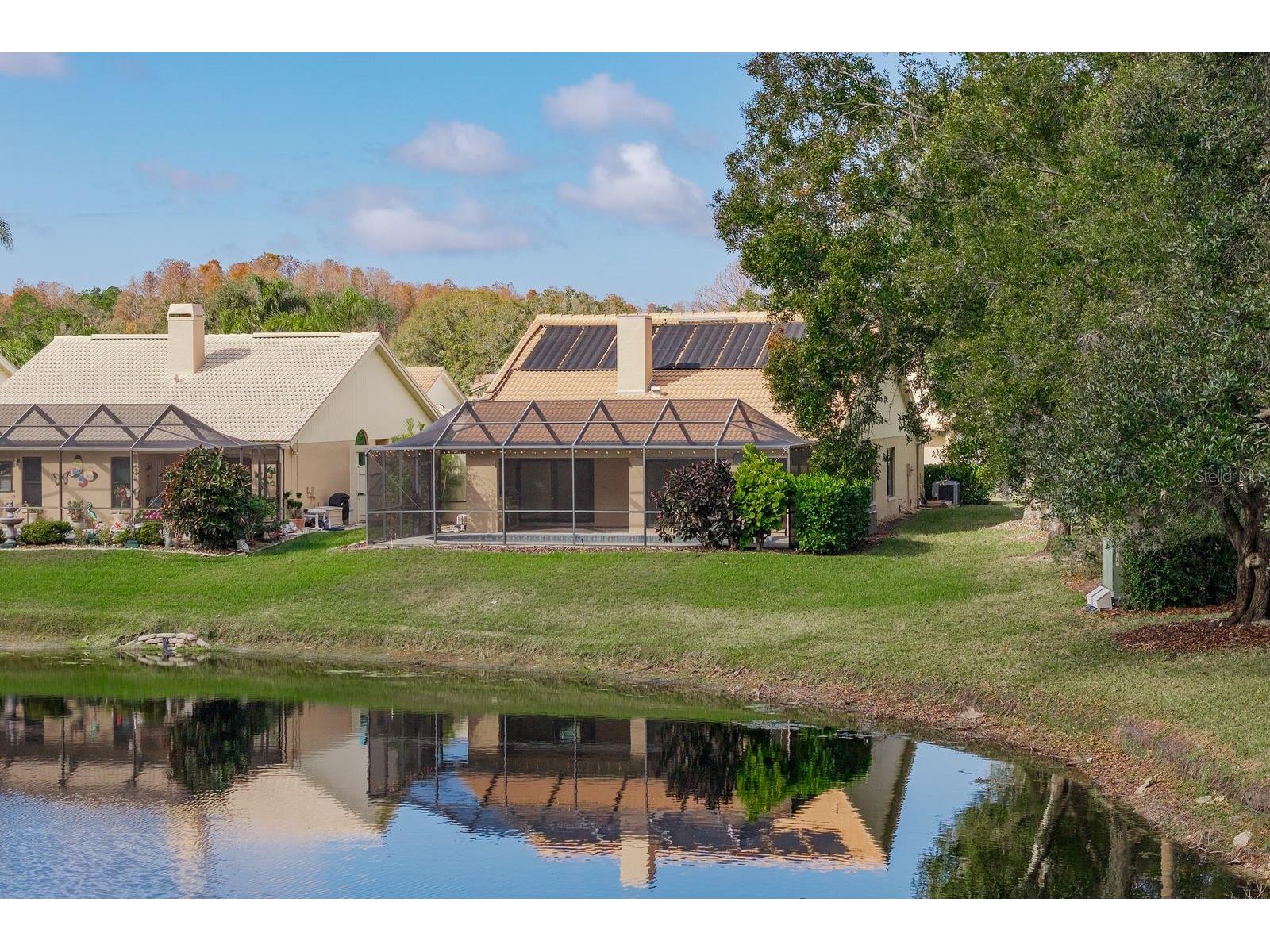 5590 Greyston Street Palm Harbor FL 34685 TB8460485 image45