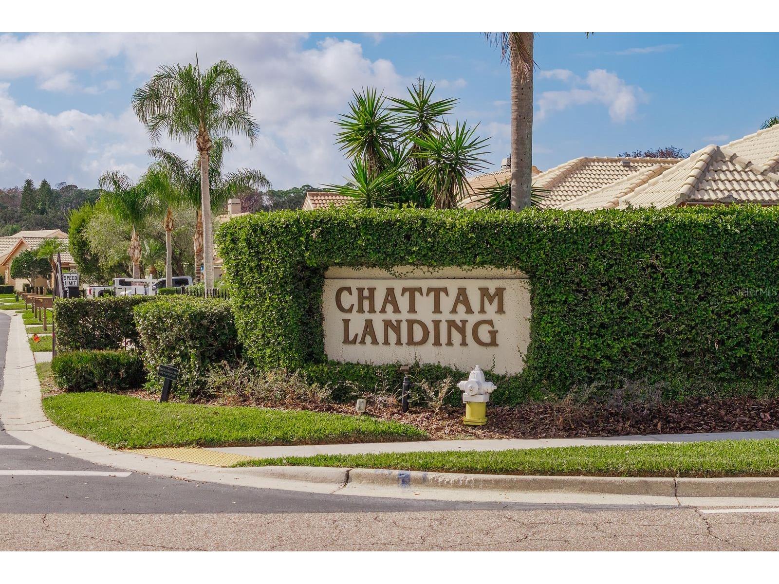 5590 Greyston Street Palm Harbor FL 34685 TB8460485 image46