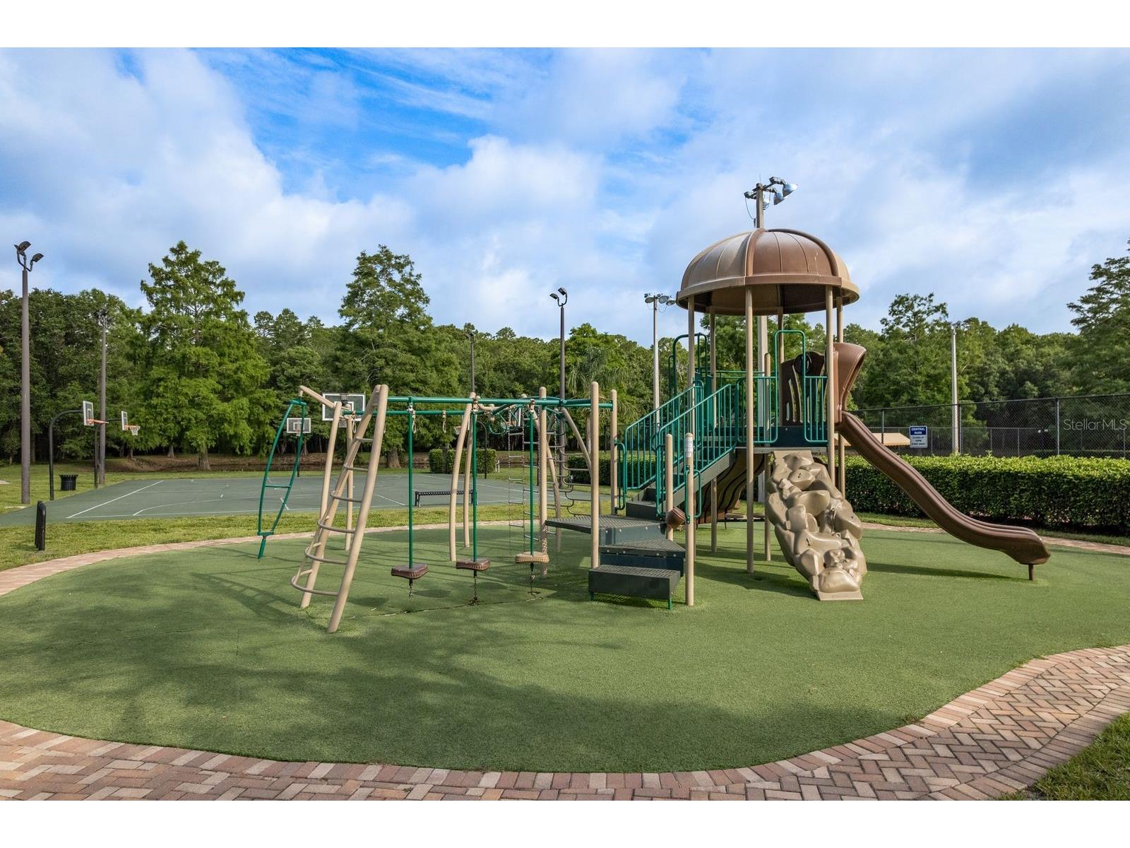 5590 Greyston Street Palm Harbor FL 34685 TB8460485 image48